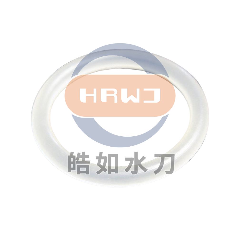 #05092887喷嘴密封支撑环.jpg